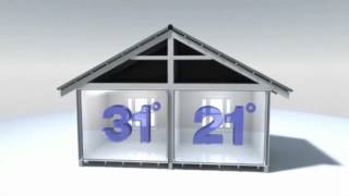 Ecoshield Coatings Division Net Worth