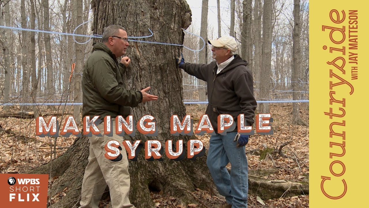 Making Maple Syrup | Countryside with Jay Matteson - YouTube