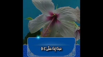سورة العلق القارئ عبدالقادر محمود الكردي #quran #المصحف #القرآن #القرآن_الكريم #سورة_العلق