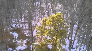 Test flight of my new Syma X5C-1