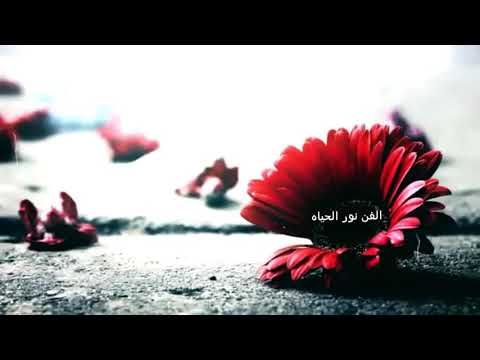 الحب كله حبيته فيك حالات واتس اب بدون موسيقي اجمل صباح عليكم