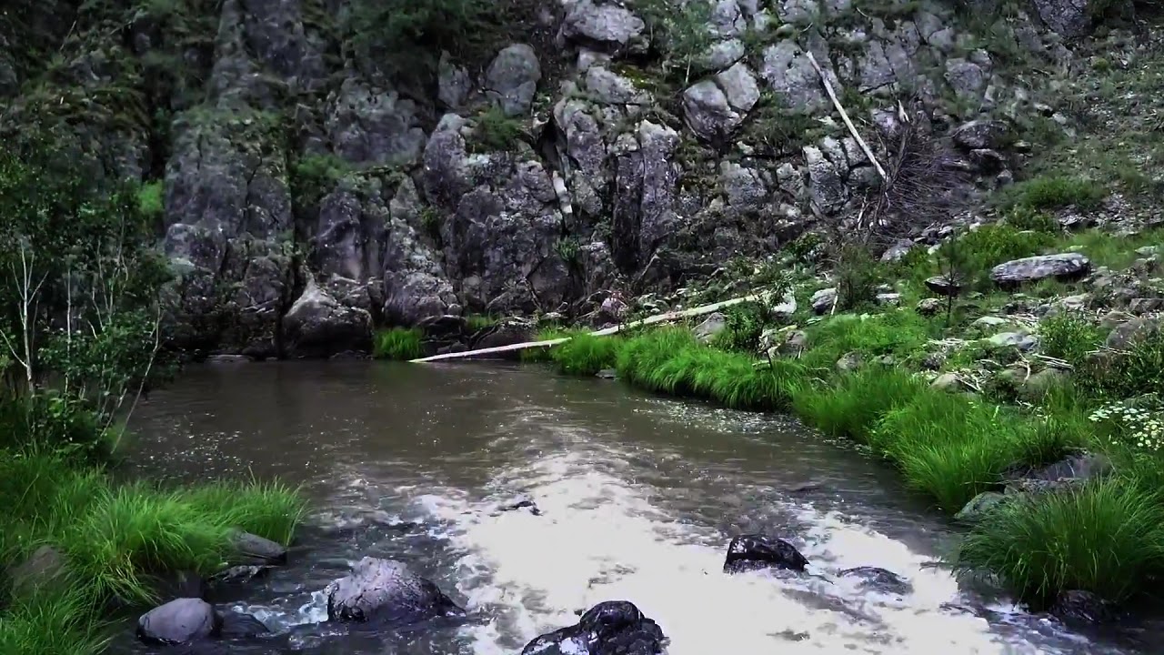 Exploring the Black River in Arizona YouTube