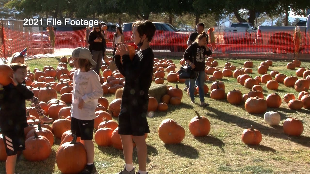 10/19/2022 PDOP Pumpkin Days Happening This Weekend YouTube