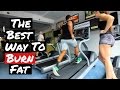 Best Way to burn fat - HIIT Training -Treadmill sprints - Fat loss tips