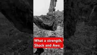 The old excavator was thrust beneath a backhoe. Gives Shock And Awe #excavator #creepy #shock #memes