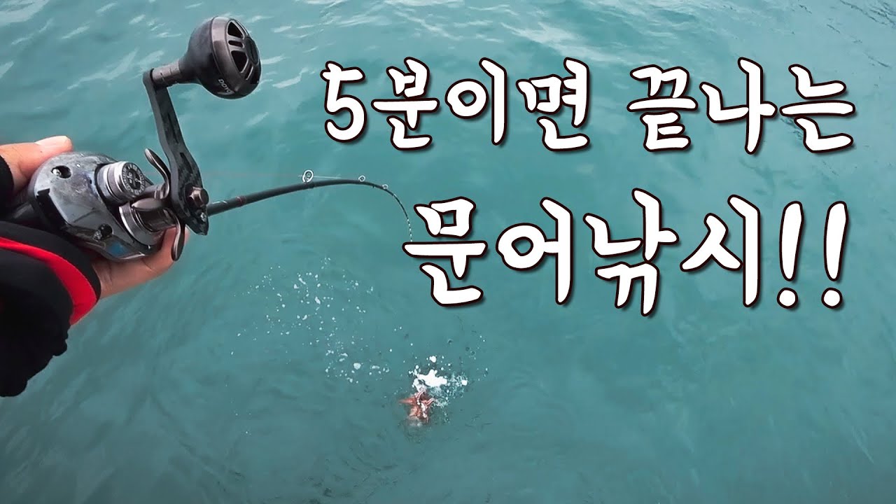 [다리tv] 문어낚시 진짜 5분이면 다 배웁니다!!! 조과는 숙련도에 따라서!!!