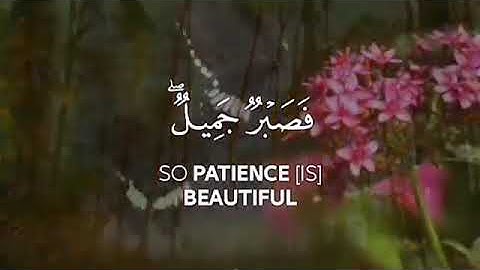 أرح سمعك 🥀 القارئ: طارق محمد 🍃 حالات واتس آب   https://t.me/halat1000