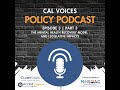 Episode 3 | Part 3: The Recovery Model and Legislative Impacts