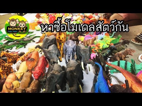 เจปังเดินตลาดเซฟวันหาซื้อโมเดลสัตว์กับไดโนเสาร์