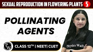 Sexual Reproduction in Flowering Plants 05 | Pollinating Agents | Pure English | 12th / NEET/CUET screenshot 5