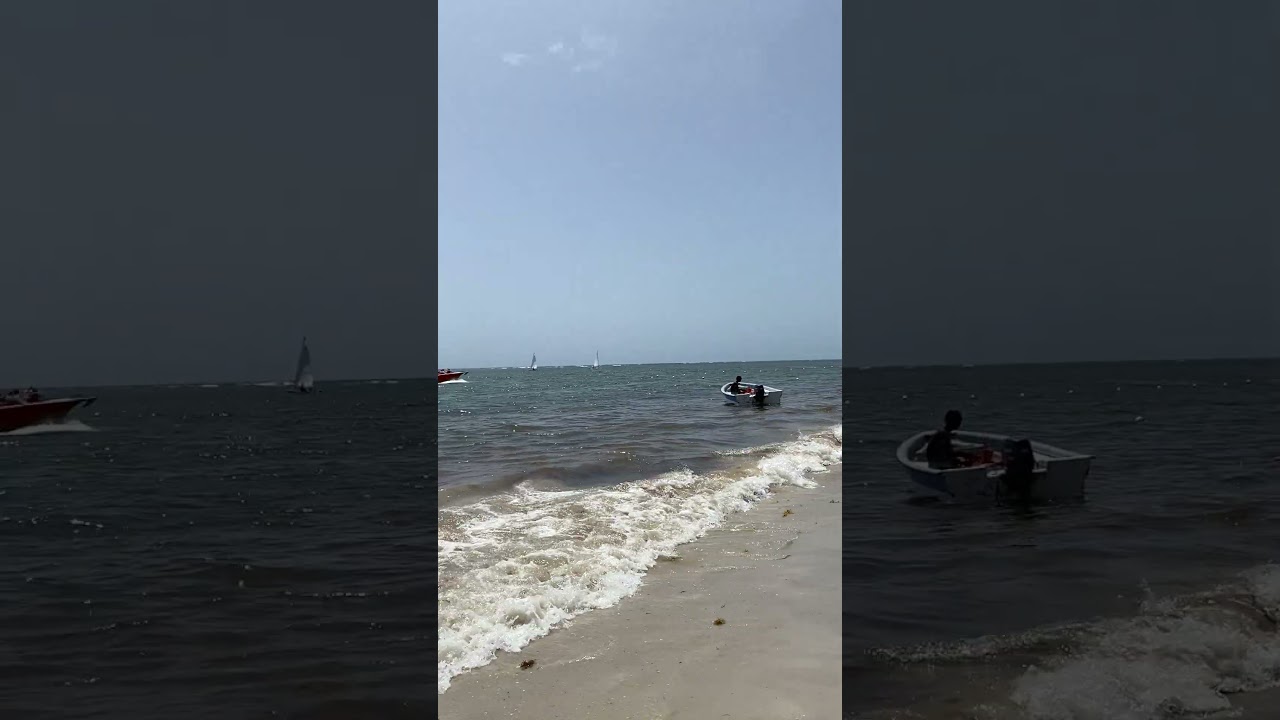 Sargassum Update Punta Cana 2025- 