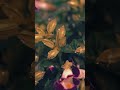 “Allah Ke Zikr Se Dil Ko Sukoon Milta Hai ❤️ | Quranic Reminder | Islamic Short”