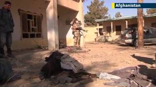 Afghan insider attack: British soldier shot in latest murder committed by Afghanistani allies