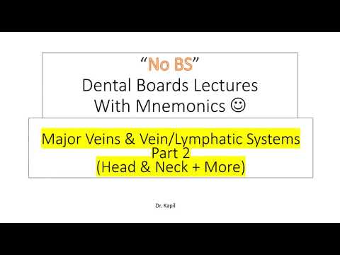 003: Vein/Lymph System & Mnemonics (Coronary Sinus, Lymphatic System, Cisterna Chyli, Thoracic Duct)