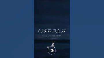 افحسبتم إنما خلقناكم عبثا وانكم إلينا لاترجعون } بصوت القارئ الشيخ احمد النفيس