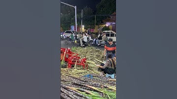 Work Process - Sugar Cane Peeling
