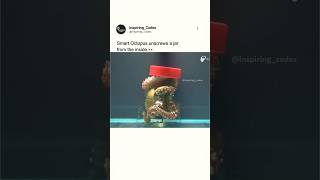 Smart octopus 🐙 unscrews a jar from the inside 🫡