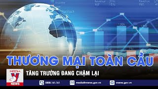 Tăng trưởng thương mại toàn cầu đang chậm lại - Tin thế giới - VNEWS