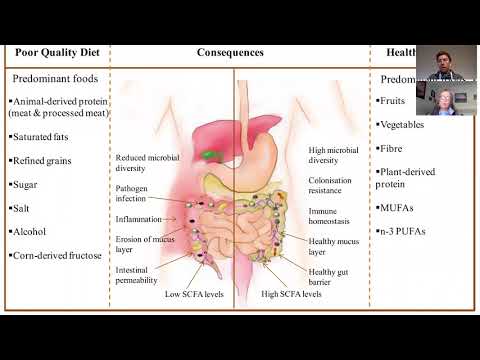 #7 The Inflammatory Bowel Disease Anti-Inflammatory Diet (IBD-AID) with Barbara Olendzki