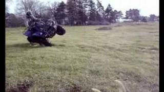 Grizzly In Action...