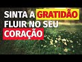 MEDITAÇÃO DA MANHÃ | Sinta a GRATIDÃO fluir no seu CORAÇÃO