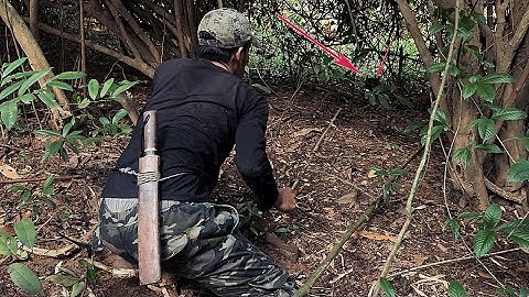 Chạy Ngay Đi Nó Qoánh Anh Rồi 🥶 / find food camping in the jungle