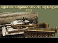 Tigers in Hungarian Service | Big Magyar Cats