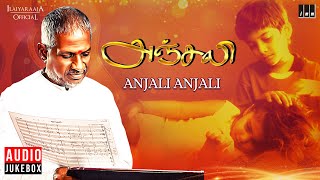 Anjali Anjali Song | Anjali Movie | Ilaiyaraaja | Raghuvaran | Revathi | Mani Ratnam | Vaali
