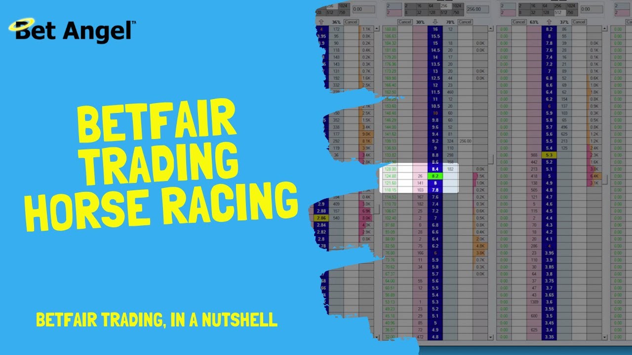 Betfair trading on horse racing Explained in 3 minutes YouTube