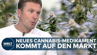 CANNABIS STATT OPIOIDE: "Man sucht sich die Dosis selber" Neues Schmerzmittel startet in Deutschland