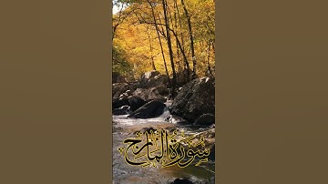 Surat Al-Ma'arij (The Heights) | سورة المعارج | Chapter 70 | Hafiz usman bin arif