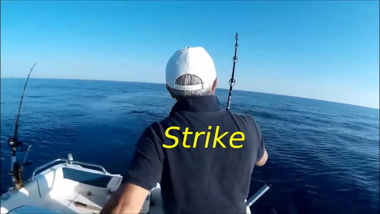 Pesca traina con esca viva, coppiola di Ricciole YouTube Pesca traina con esca viva, coppiola di Ricciole YouTube