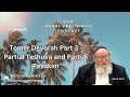 Tomer Devorah Part 3 Partial Teshuva and Partial Pesukim (HaRav Yitzchak Breitowitz)