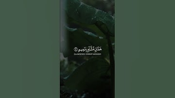 ولا تطع كل حلاف مهين - القارئ هاني الرفاعي🌱
