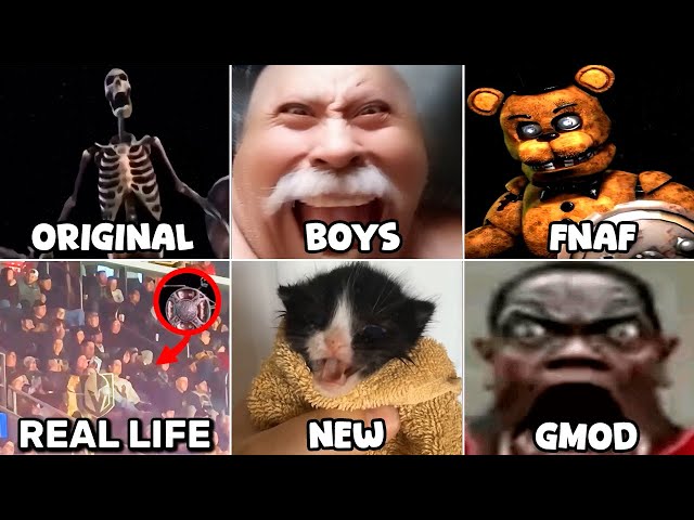 ALL Skeleton Banging Shield Variants