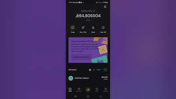 How to Add a Token to your Algorand Wallet.
