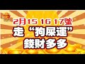 15.16.17號有錢又有福，五大生肖橫財發偏財旺，買彩票！