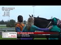Woodbine, Tbred, September 17, 2026 Race 1 | Woodbine Horse Race Replay