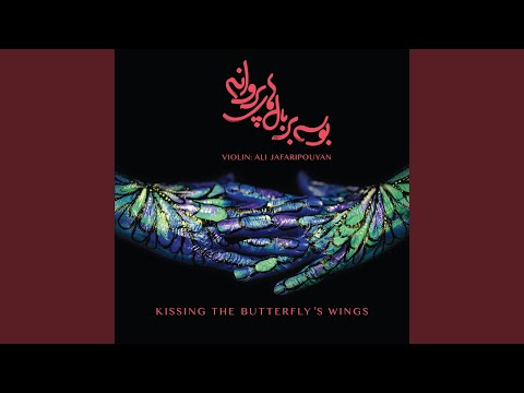 Amorously 3 Feat Babak Zarrin