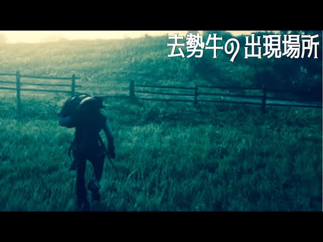 Rdr2 去勢牛の場所 レッドデッドリデンプション2 Youtube