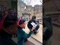 Gorilla’s Reaction to Magic Is Priceless#GorillaReaction#MagicTrick#DoveMagic#ZooMoments #gorilla