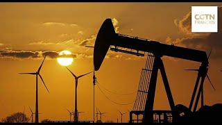Hausse des marchés à terme sur le pétrole brut après l'annonce de la réduction de la production