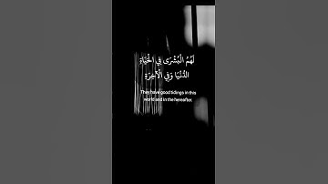 انس المالك - سورة يونس