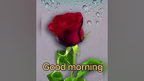 Good morning video status ll WhatsApp status like or subscribe for more videos