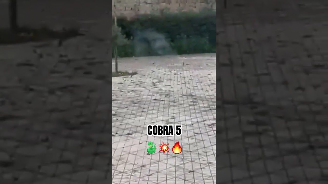 Super Cobra 5🐍🤯💥🔥 