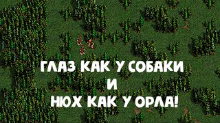 Глаз как у собаки и нюх как у орла! (Герои 3)