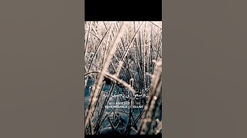 ياسر الدوسري يقرأ سورة الجمعة ببراعة