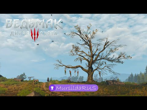 Ведьмак 3: Дикая Охота│Часть 10│ ● Нильфгаардский связной ● прохождение без комментариев