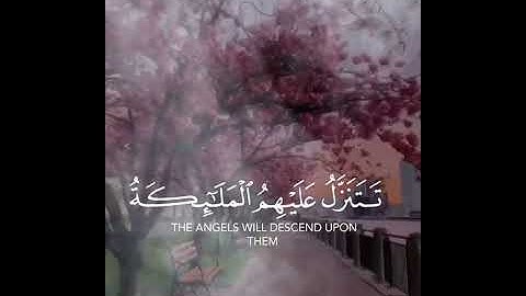 تلاوة من سورة فصلت | مشاري بن راشد العفاسي