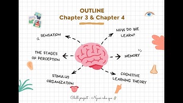 [VIDEO #1: PERCEPTION - LEARNING AND MEMORY] 🧠